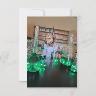 サイティおもしろいストかわいい犬の本のコスチュームnotecard サンキューカード