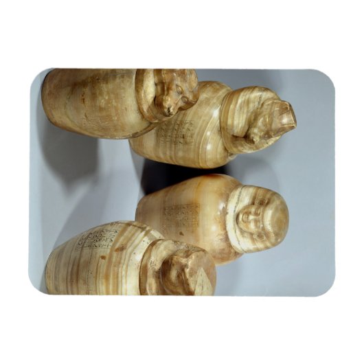 サイテ島のホアイルオウムのカノピーの瓶（アラバスター） マグネット (横)