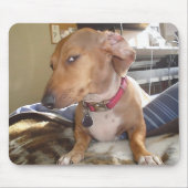 サイドアイドッグミームマウスパッド マウスパッド (正面)