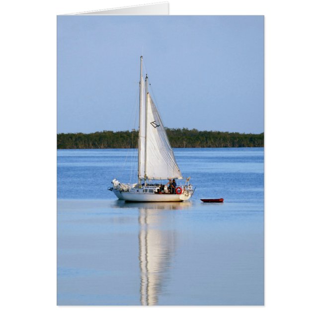 サイドバイサイドセーリングボート (正面)