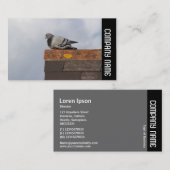 サイドバンド – グッドモーニングピジョン 名刺 (正面/裏面)