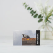 サイドバンド – グッドモーニングピジョン 名刺 (スタンド正面)