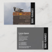 サイドバンド – グッドモーニングピジョン 名刺 (正面/裏面)