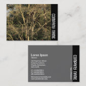 サイドバンド – ゴールデンブランチ 名刺 (正面/裏面)