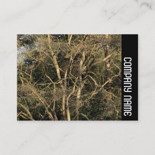 サイドバンド – ゴールデンブランチ 名刺 (正面)