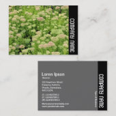 サイドバンド – セダム(秋の喜び) 名刺 (正面/裏面)