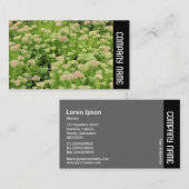 サイドバンド – セダム(秋の喜び) 名刺 (正面/裏面)