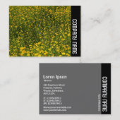 サイドバンド – ベッドオブイエローデイジー 名刺 (正面/裏面)