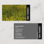 サイドバンド – ベッドオブイエローデイジー 名刺 (正面/裏面)