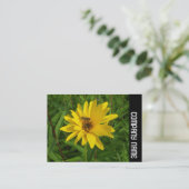 サイドバンド – ホバーフライで黄色い菊 名刺 (スタンド正面)
