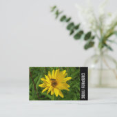 サイドバンド – ホバーフライで黄色い菊 名刺 (スタンド正面)
