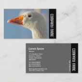 サイドバンド – ホワイトガチョウ 名刺 (正面/裏面)