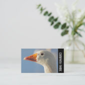 サイドバンド – ホワイトガチョウ 名刺 (スタンド正面)