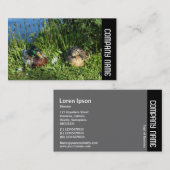 サイドバンド – マラード夫妻 名刺 (正面/裏面)