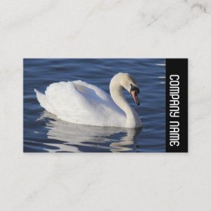 サイドバンド – ミュートSWAN 名刺