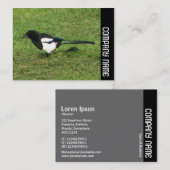 サイドバンド – ヨーロッパマグピー 名刺 (正面/裏面)