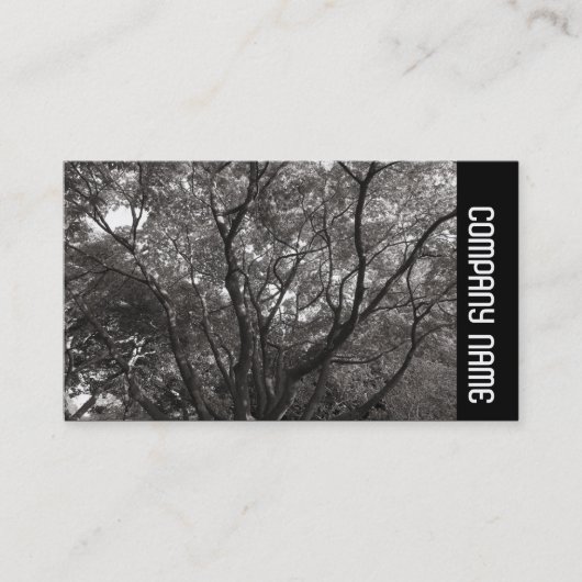 サイドバンド – 日本のブランチ02 名刺 (正面)