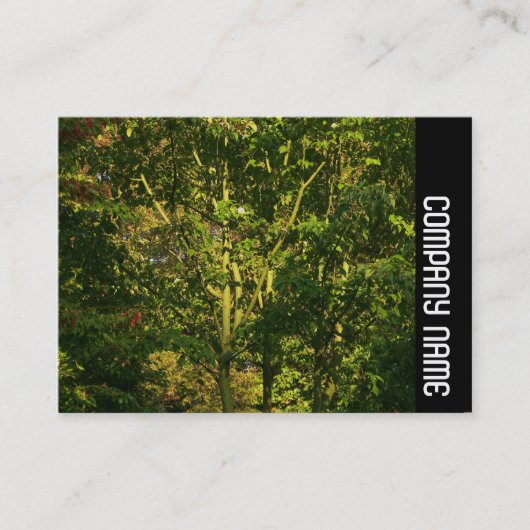 サイドバンド – 日本のブランチ05 名刺 (正面)