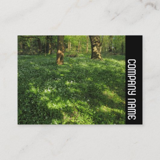 サイドバンド – 春インザウッズ 名刺 (正面)