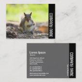 サイドバンド – 灰色リス 名刺 (正面/裏面)