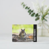 サイドバンド – 灰色リス 名刺 (スタンド正面)