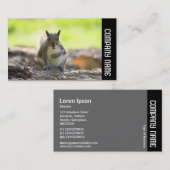 サイドバンド – 灰色リス 名刺 (正面/裏面)
