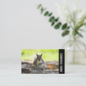 サイドバンド – 灰色リス 名刺 (スタンド正面)