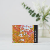 サイドバンド – 紅葉 名刺 (スタンド正面)