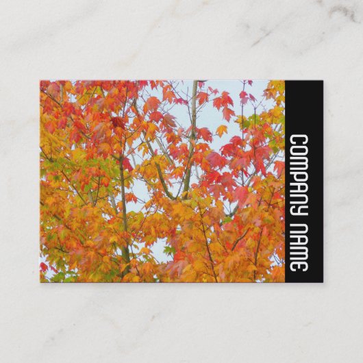 サイドバンド – 紅葉 名刺 (正面)