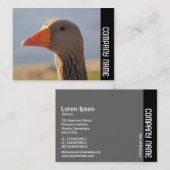 サイドバンド – 興味津々のガチョウ 名刺 (正面/裏面)