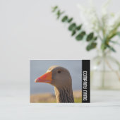 サイドバンド – 興味津々のガチョウ 名刺 (スタンド正面)