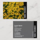 サイドバンド – 黒い目のサザンズ(Rudbeckia Hirta) 名刺 (正面/裏面)