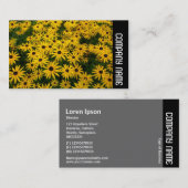 サイドバンド – 黒い目のサザンズ(Rudbeckia Hirta) 名刺 (正面/裏面)