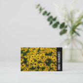 サイドバンド – 黒い目のサザンズ(Rudbeckia Hirta) 名刺 (スタンド正面)