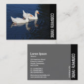 サイドバンド – Emden Geese 名刺 (正面/裏面)