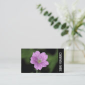 サイドバンド – Geranium Endressii 名刺 (スタンド正面)