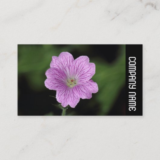 サイドバンド – Geranium Endressii 名刺 (正面)