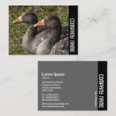 サイドバンド – Greylag Geese 名刺 (正面/裏面)