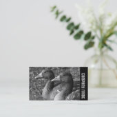 サイドバンド – Greylag Geese B&W 名刺 (スタンド正面)