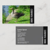 サイドバンド – Greylag Goose 名刺 (正面/裏面)