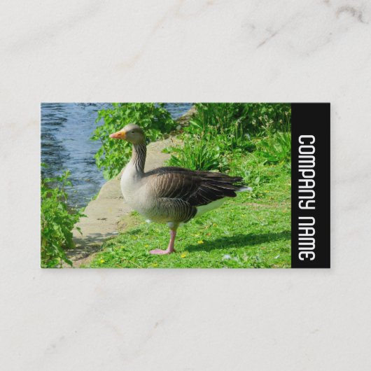 サイドバンド – Greylag Goose 名刺 (正面)