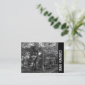 サイドバンド – Summer in the Woods 名刺 (スタンド正面)