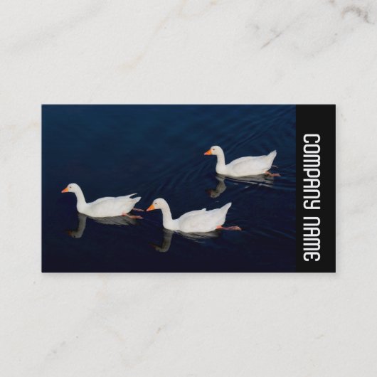 サイドバンド – Three Emden Geese 名刺 (正面)