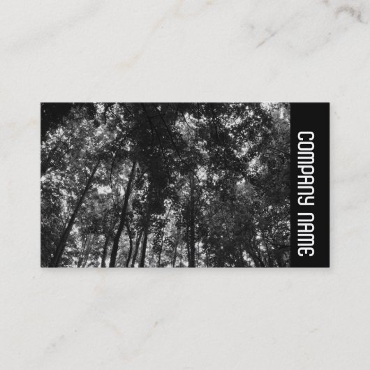サイドバンド – Woodland Canopy 01 BW 名刺 (正面)