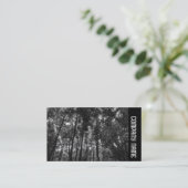 サイドバンド – Woodland Canopy 02 BW 名刺 (スタンド正面)