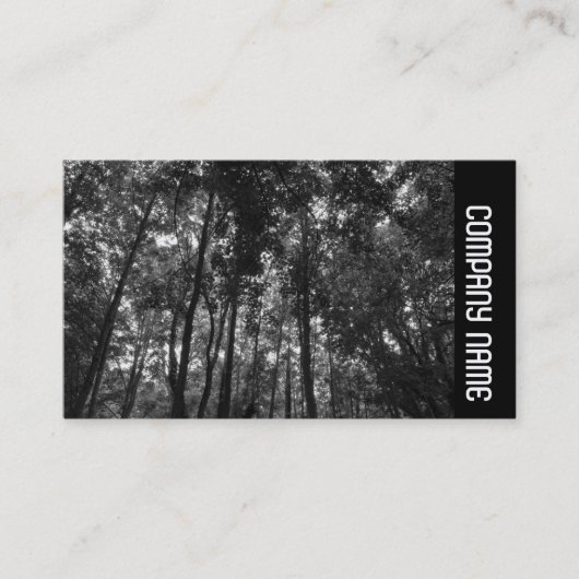 サイドバンド – Woodland Canopy 02 BW 名刺 (正面)