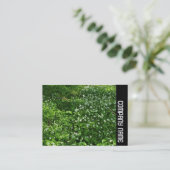 サイドバンド – Woodland Flowers 名刺 (スタンド正面)