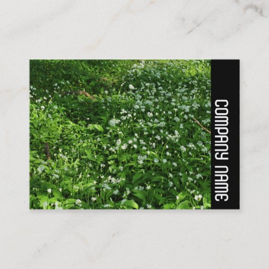 サイドバンド – Woodland Flowers 名刺 (正面)