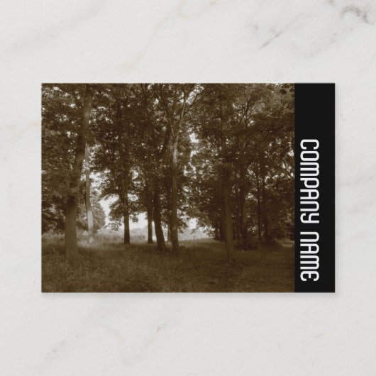 サイドバンド – Woods, Bute Park Cardiff - Sepia toned 名刺 (正面)