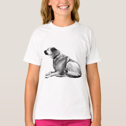 サイドライトガーディアン Tシャツ (正面)